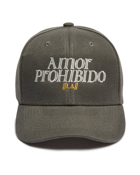 Amor Logo Dusty Grey SnapBack Hat